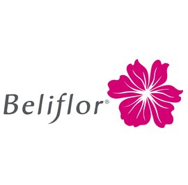 image adherent BELIFLOR 