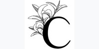 Logo La canopée