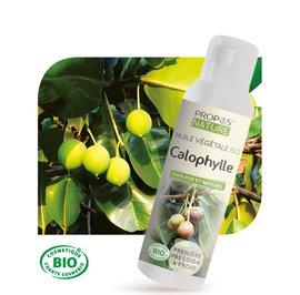 Huile Végétale Calophylle Bio - PROPOS NATURE - Diy ingredients