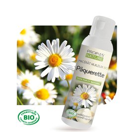 Macérât huileux Pâquerette Bio - PROPOS NATURE - Diy ingredients