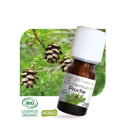Huile essentielle Pruche Bio - Joli'Essence - Diy ingredients