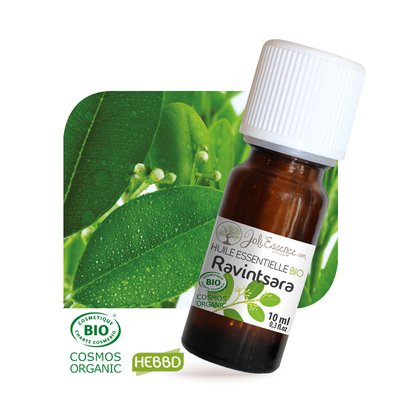 Huile essentielle Ravintsara Bio - Joli'Essence - Diy ingredients
