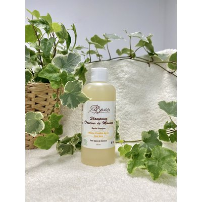 Shampoo - BIOSIRIS - Hair